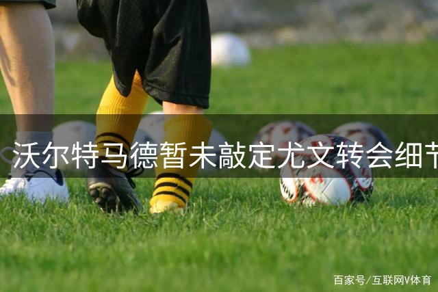 沃尔特马德暂未敲定尤文转会细节